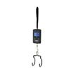 Picture of Var Digital Scale